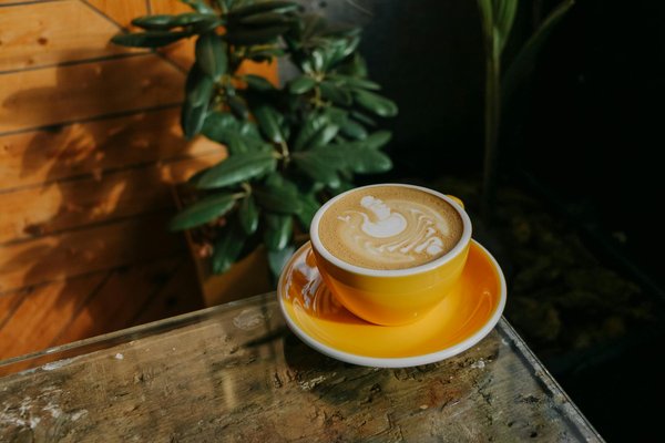 Prendre soin de sa santé intestinale grâce à une alimentation équilibrée